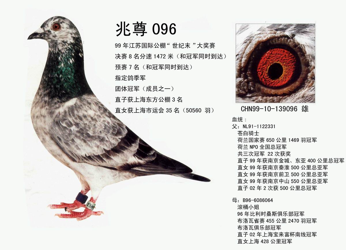 2007370052931.jpg