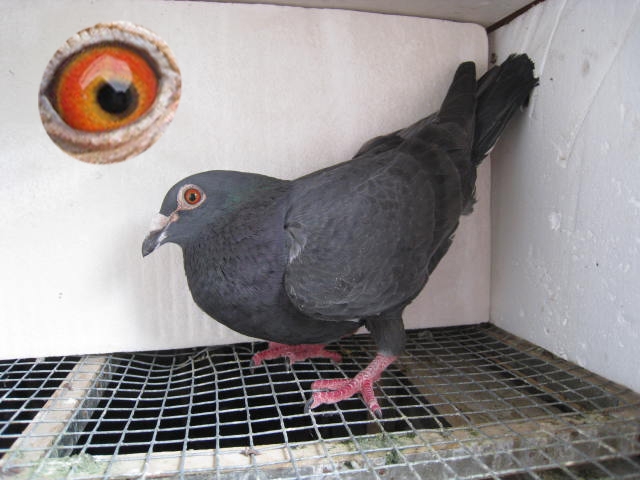 gezi00100的网络日记本