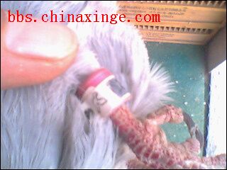按此在新窗口浏览图片