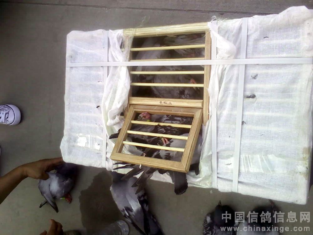 按此在新窗口浏览图片