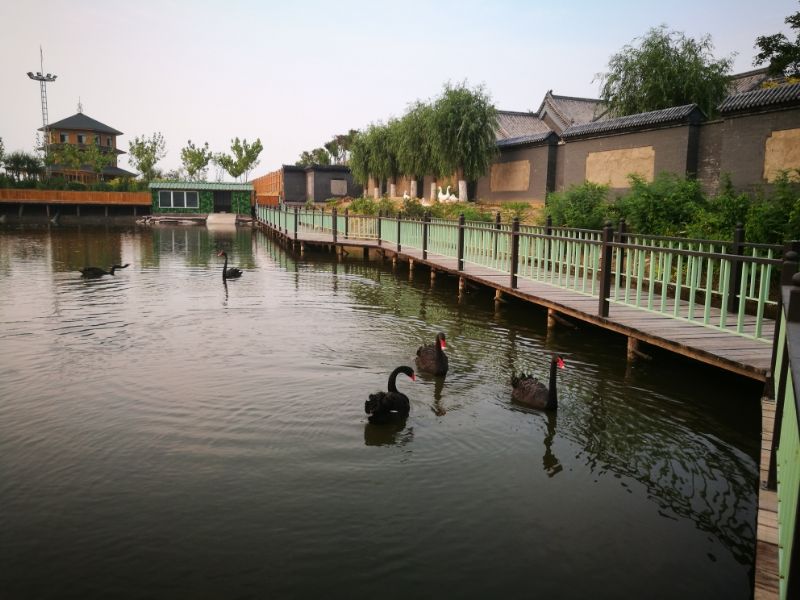 按此在新窗口浏览图片