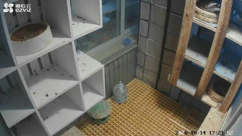 按此在新窗口浏览图片