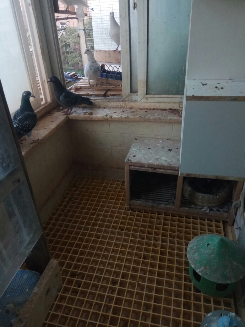 按此在新窗口浏览图片