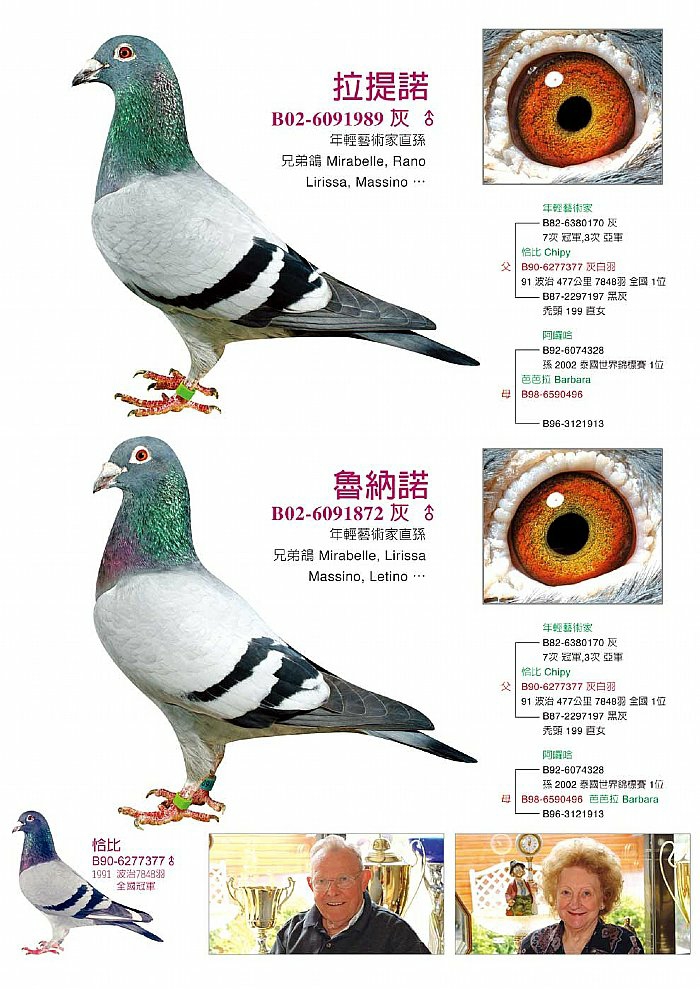 按此在新窗口浏览图片