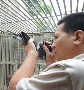 按此在新窗口浏览图片