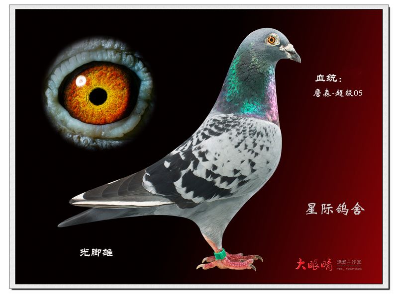 按此在新窗口浏览图片