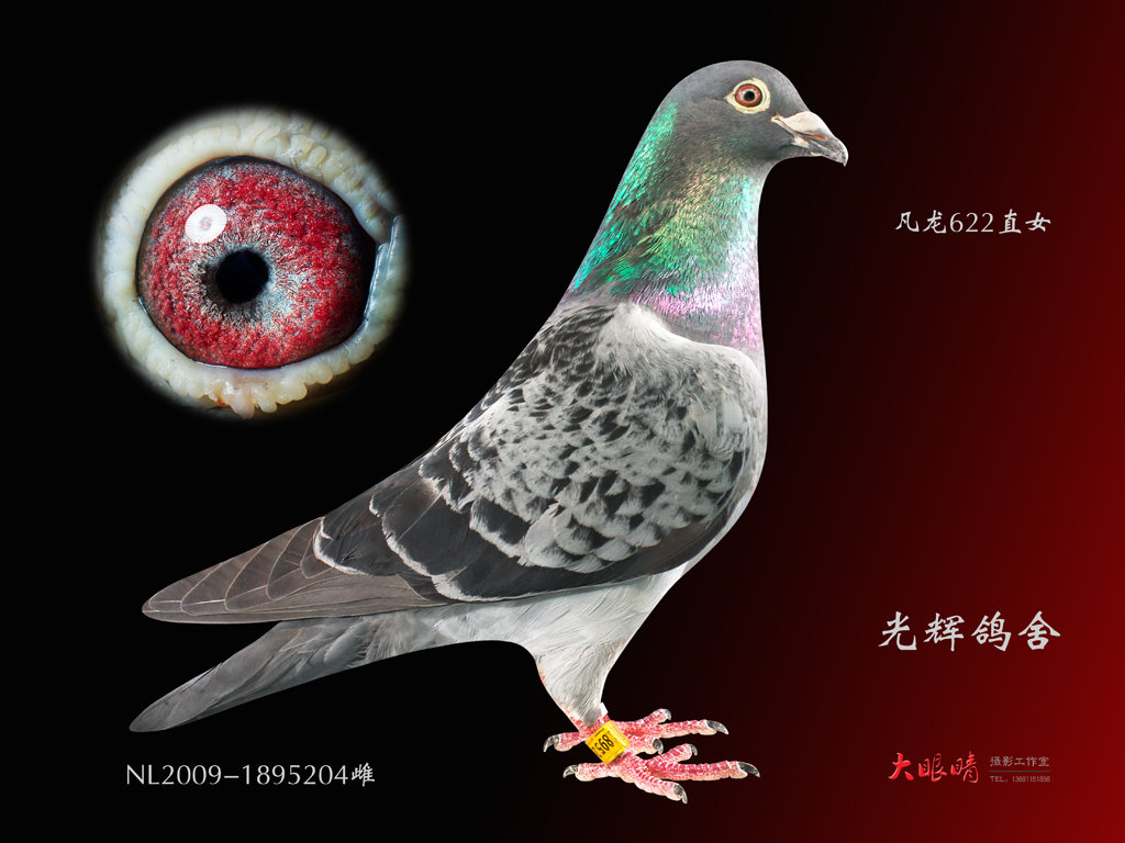 按此在新窗口浏览图片