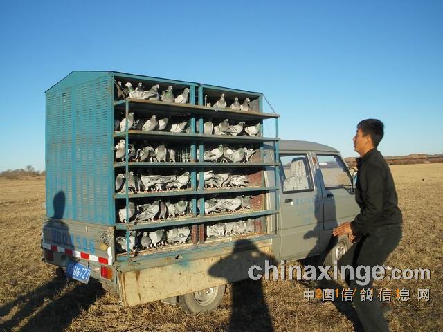 按此在新窗口浏览图片