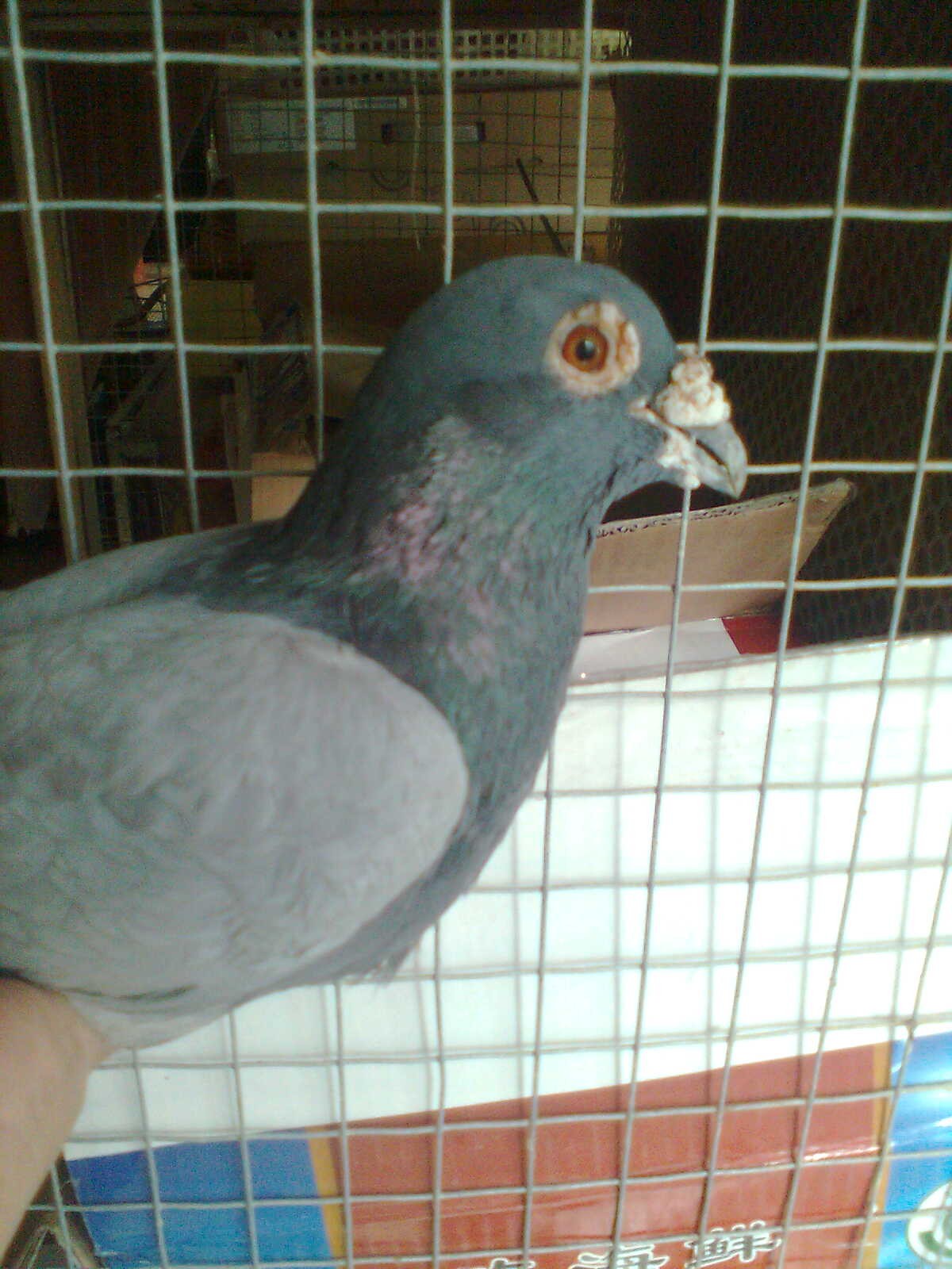 按此在新窗口浏览图片