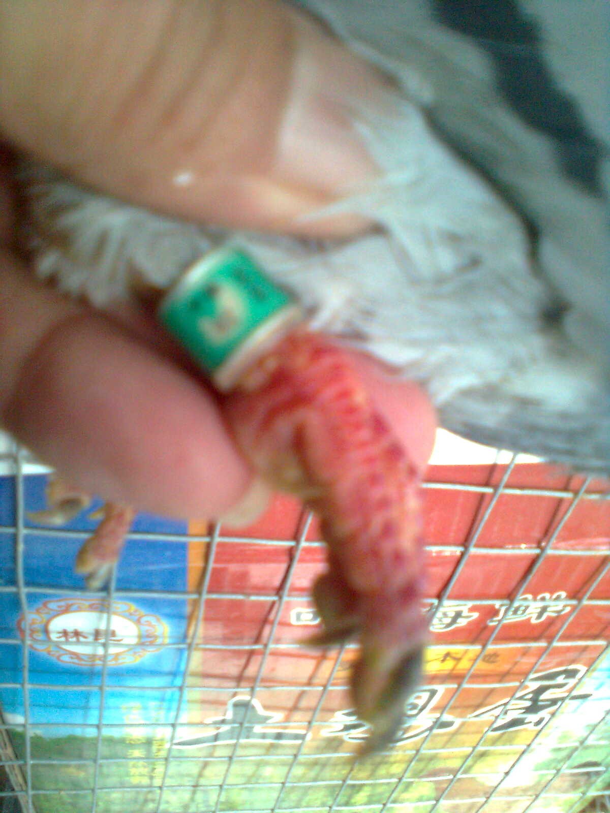 按此在新窗口浏览图片