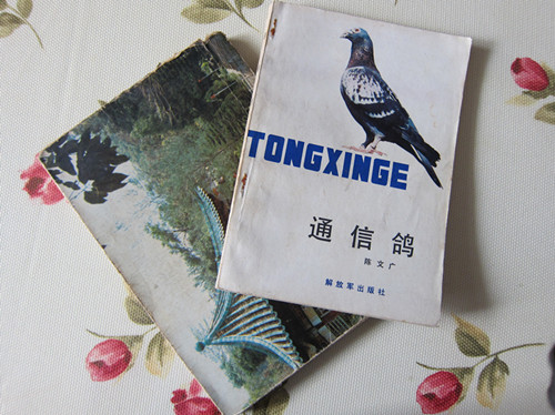 按此在新窗口浏览图片