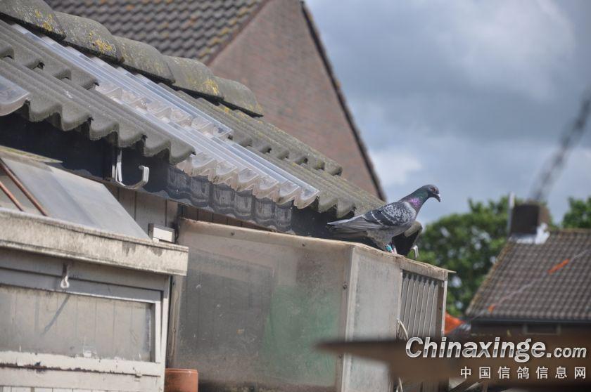 按此在新窗口浏览图片