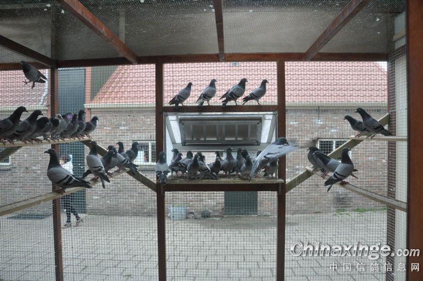 按此在新窗口浏览图片