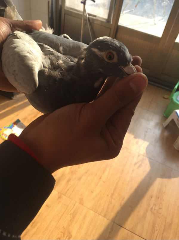 按此在新窗口浏览图片