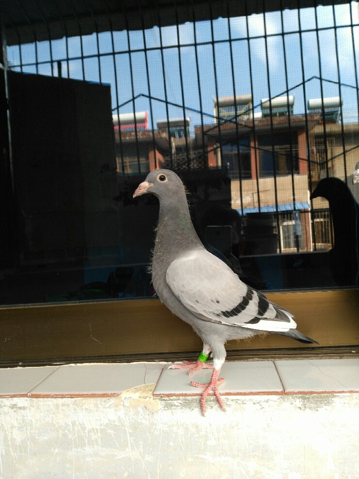 按此在新窗口浏览图片