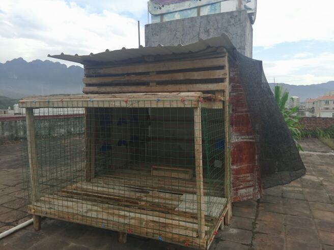 按此在新窗口浏览图片