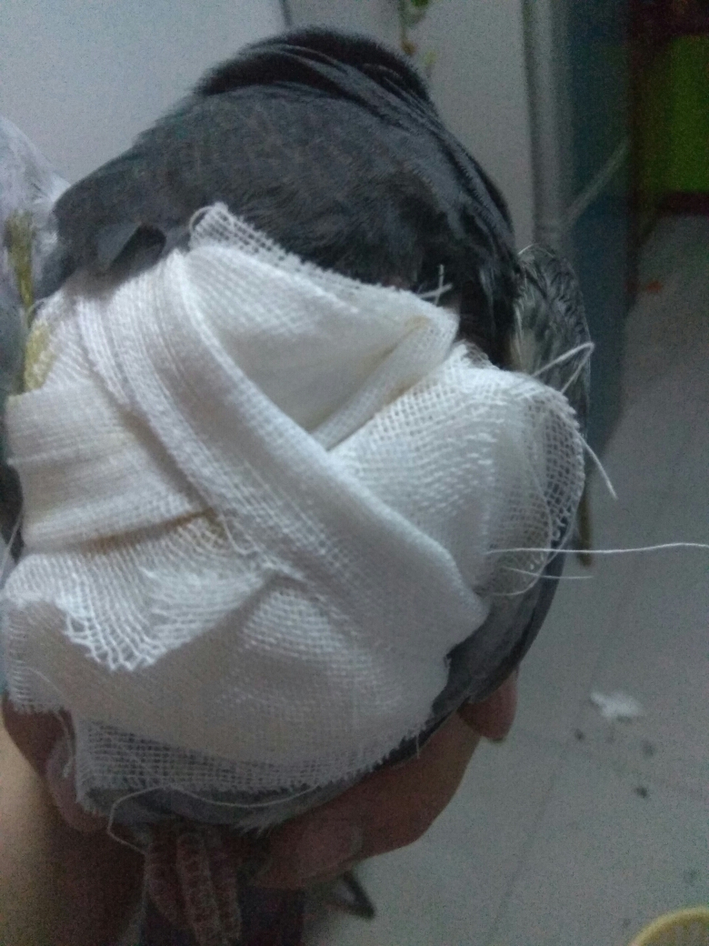 按此在新窗口浏览图片