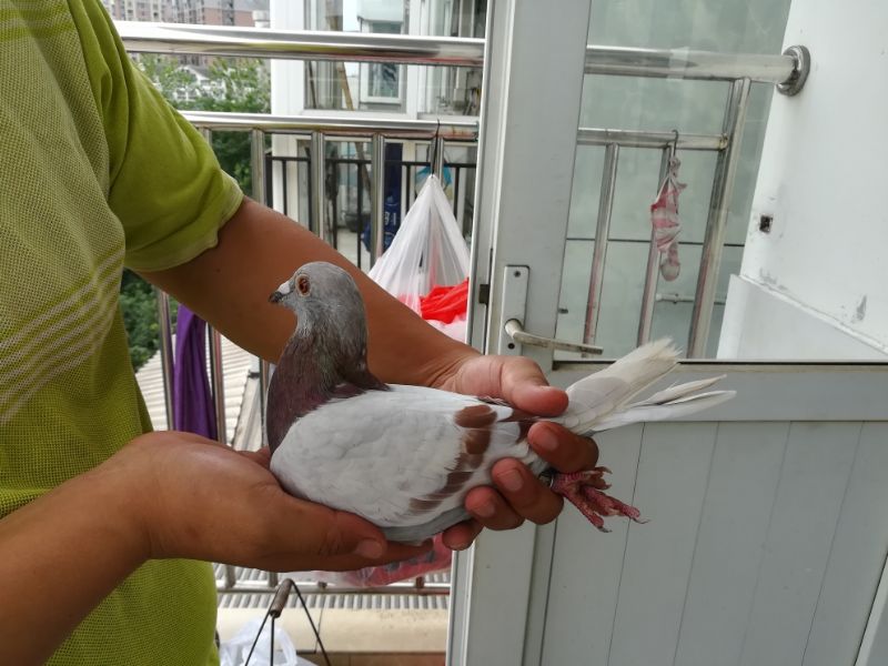 按此在新窗口浏览图片