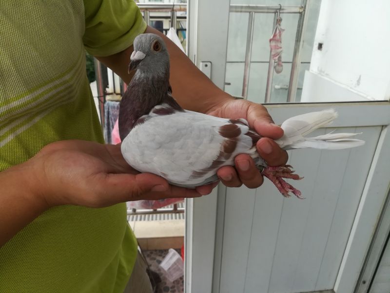 按此在新窗口浏览图片