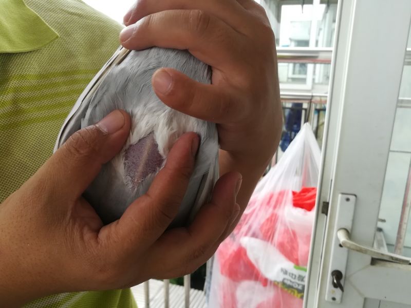 按此在新窗口浏览图片