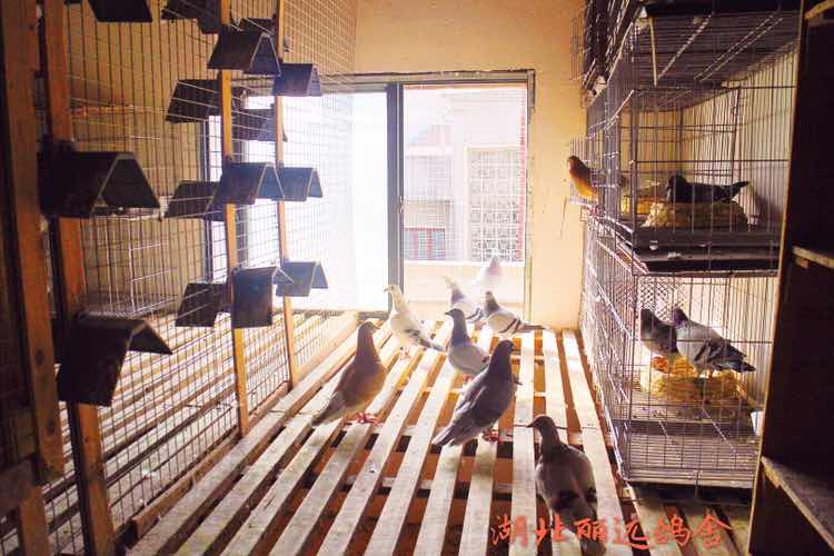 按此在新窗口浏览图片