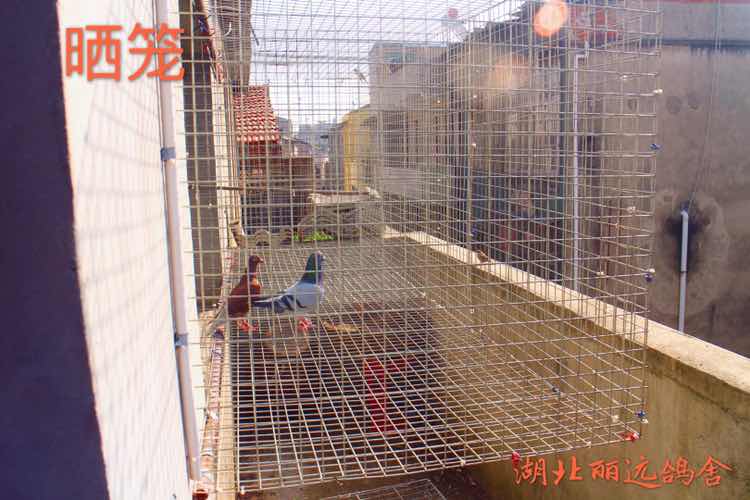 按此在新窗口浏览图片